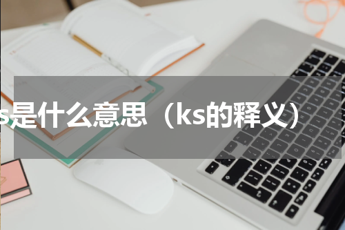 ks是什么意思（ks的释义）