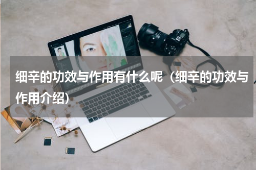 细辛的功效与作用有什么呢（细辛的功效与作用介绍）