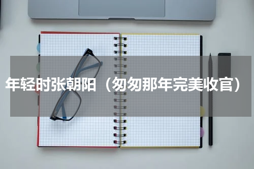 年轻时张朝阳（匆匆那年完美收官）