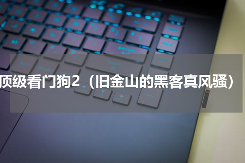 顶级看门狗2（旧金山的黑客真风骚）