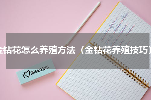 金钻花怎么养殖方法（金钻花养殖技巧）