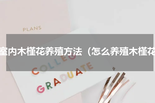 在室内木槿花养殖方法（怎么养殖木槿花）