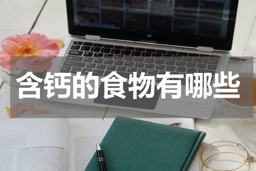 含钙的食物有哪些