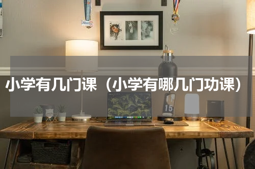 小学有几门课（小学有哪几门功课）