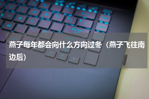 燕子每年都会向什么方向过冬（燕子飞往南边后）