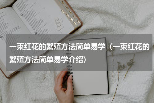 一束红花的繁殖方法简单易学（一束红花的繁殖方法简单易学介绍）