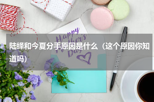 陆绎和今夏分手原因是什么（这个原因你知道吗）