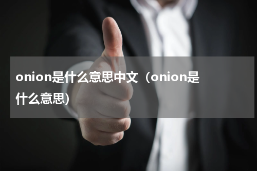 onion是什么意思中文（onion是什么意思）