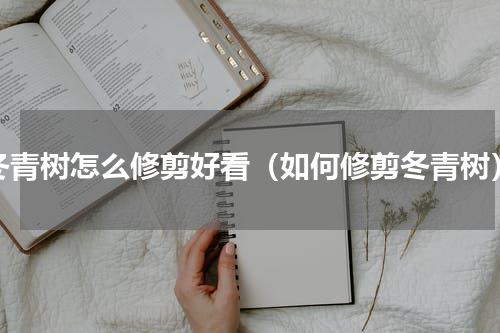 冬青树怎么修剪好看（如何修剪冬青树）