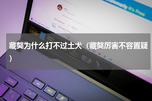藏獒为什么打不过土犬（藏獒厉害不容置疑）