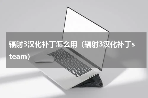 辐射3汉化补丁怎么用（辐射3汉化补丁steam）