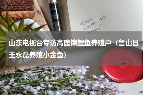 山东电视台专访高唐锦鲤鱼养殖户（鲁山县王永磊养殖小金鱼）