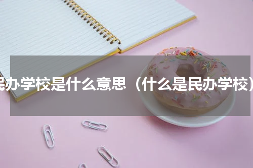 民办学校是什么意思（什么是民办学校）