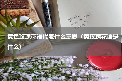 黄色玫瑰花语代表什么意思（黄玫瑰花语是什么）