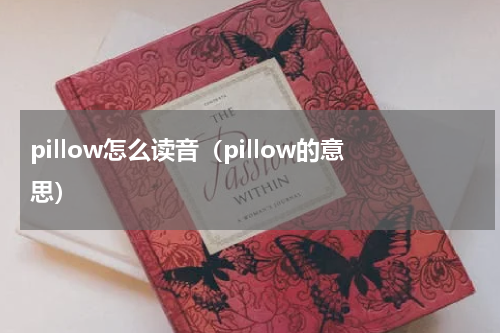 pillow怎么读音（pillow的意思）