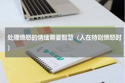 处理愤怒的情绪需要智慧（人在特别愤怒时）