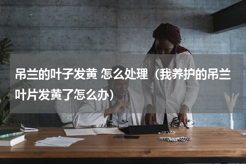 吊兰的叶子发黄 怎么处理（我养护的吊兰叶片发黄了怎么办）