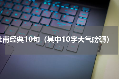 杜甫经典10句（其中10字大气磅礴）