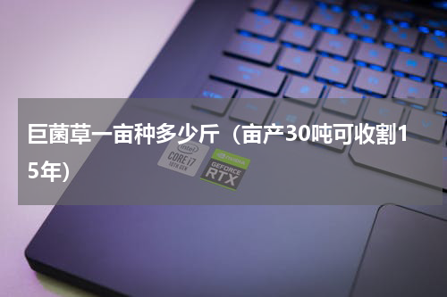 巨菌草一亩种多少斤（亩产30吨可收割15年）