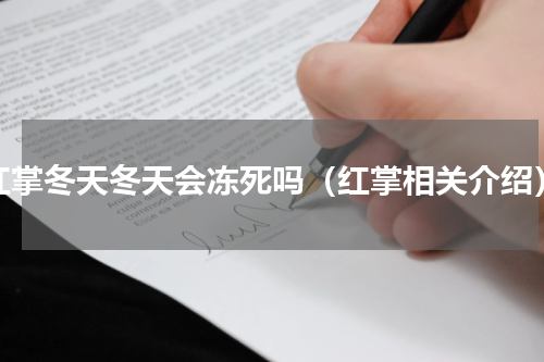 红掌冬天冬天会冻死吗（红掌相关介绍）