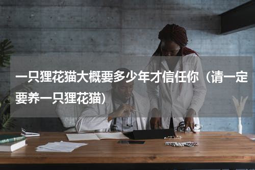 一只狸花猫大概要多少年才信任你（请一定要养一只狸花猫）