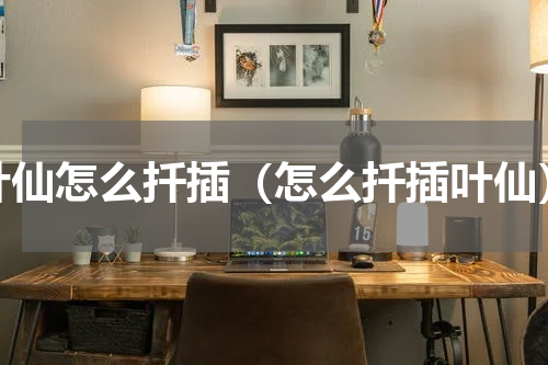 叶仙怎么扦插（怎么扦插叶仙）