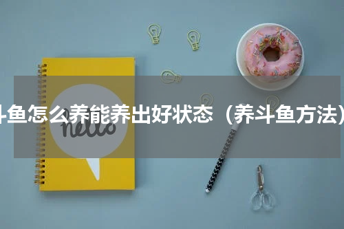 斗鱼怎么养能养出好状态（养斗鱼方法）