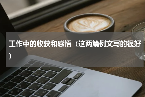 工作中的收获和感悟（这两篇例文写的很好）