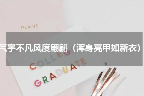 气宇不凡风度翩翩（浑身亮甲如新衣）