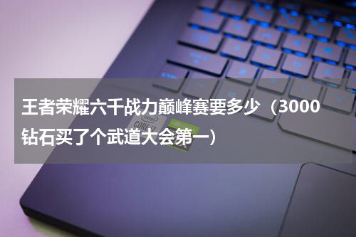 王者荣耀六千战力巅峰赛要多少（3000钻石买了个武道大会第一）