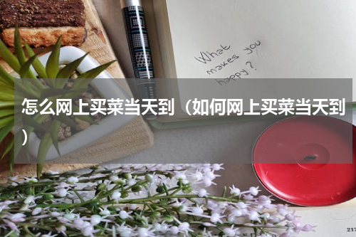 怎么网上买菜当天到（如何网上买菜当天到）