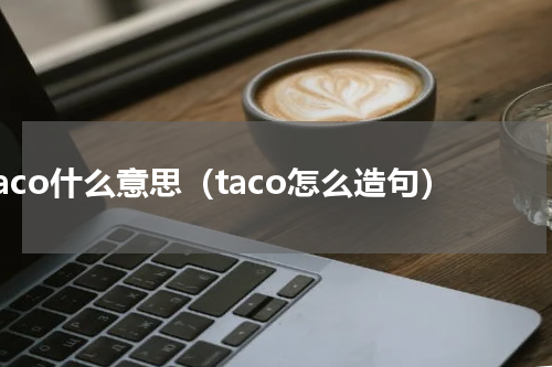 taco什么意思（taco怎么造句）