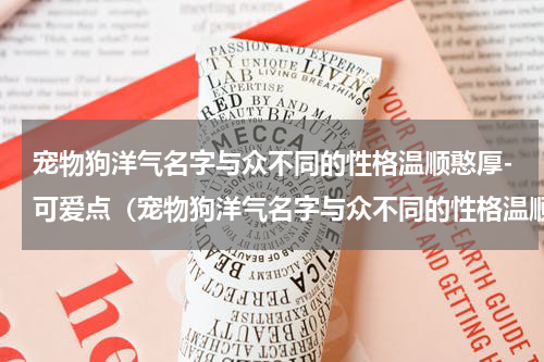 宠物狗洋气名字与众不同的性格温顺憨厚-可爱点（宠物狗洋气名字与众不同的性格温顺憨厚-可爱点）