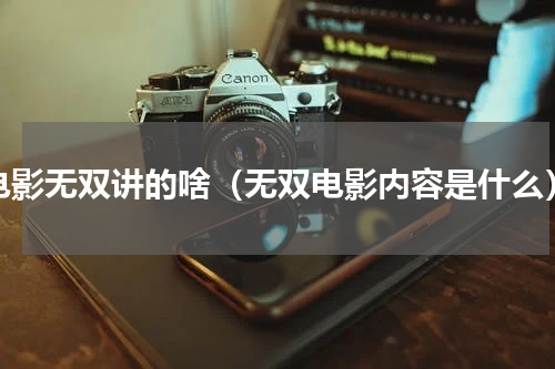 电影无双讲的啥（无双电影内容是什么）
