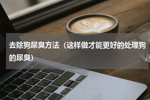 去除狗尿臭方法（这样做才能更好的处理狗的尿臭）