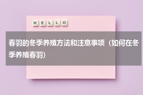 春羽的冬季养殖方法和注意事项（如何在冬季养殖春羽）