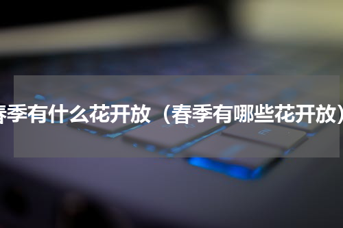 春季有什么花开放（春季有哪些花开放）