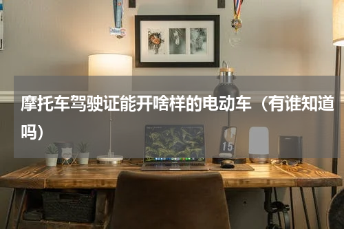 摩托车驾驶证能开啥样的电动车（有谁知道吗）