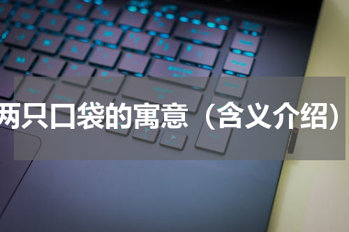 两只口袋的寓意（含义介绍）