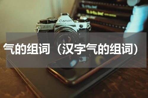 气的组词（汉字气的组词）