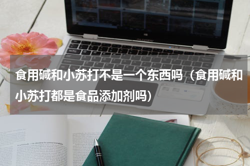 食用碱和小苏打不是一个东西吗（食用碱和小苏打都是食品添加剂吗）