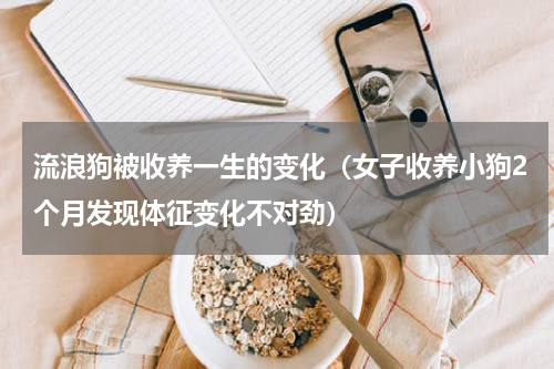 流浪狗被收养一生的变化（女子收养小狗2个月发现体征变化不对劲）