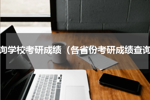 查询学校考研成绩（各省份考研成绩查询）