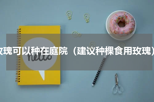 玫瑰可以种在庭院（建议种棵食用玫瑰）