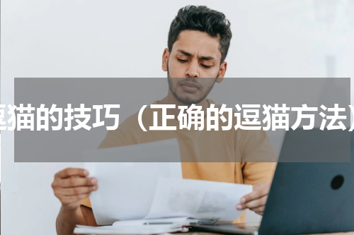 逗猫的技巧（正确的逗猫方法）