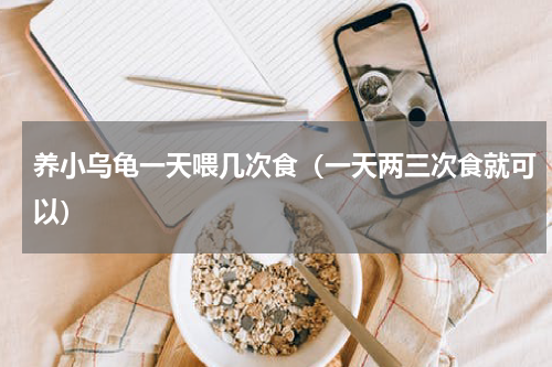 养小乌龟一天喂几次食（一天两三次食就可以）