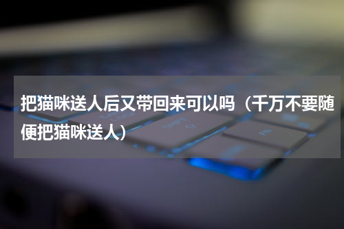 把猫咪送人后又带回来可以吗（千万不要随便把猫咪送人）