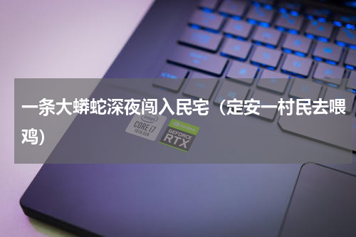 一条大蟒蛇深夜闯入民宅（定安一村民去喂鸡）