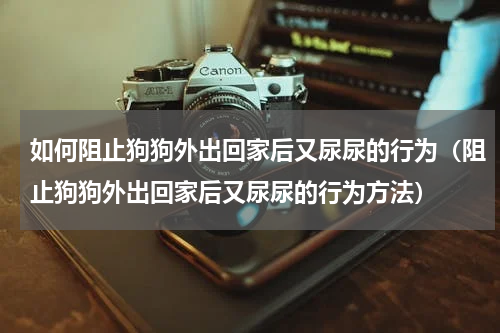如何阻止狗狗外出回家后又尿尿的行为（阻止狗狗外出回家后又尿尿的行为方法）