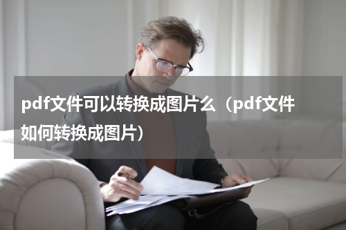 pdf文件可以转换成图片么（pdf文件如何转换成图片）